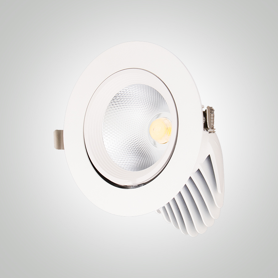 SPOT LED A ENCASTRER ROND ORIENTABLE COB 220V 40W 6500K