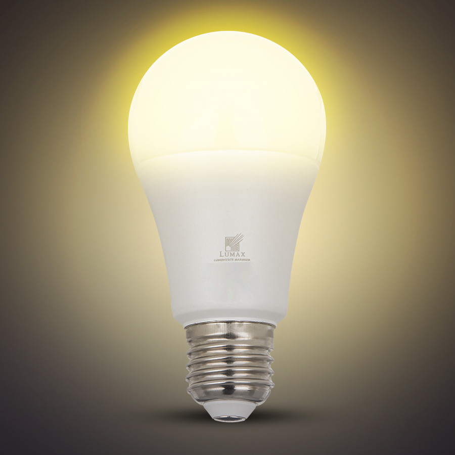 LAMPE LED SMD OPAQUE A65 E27 220V